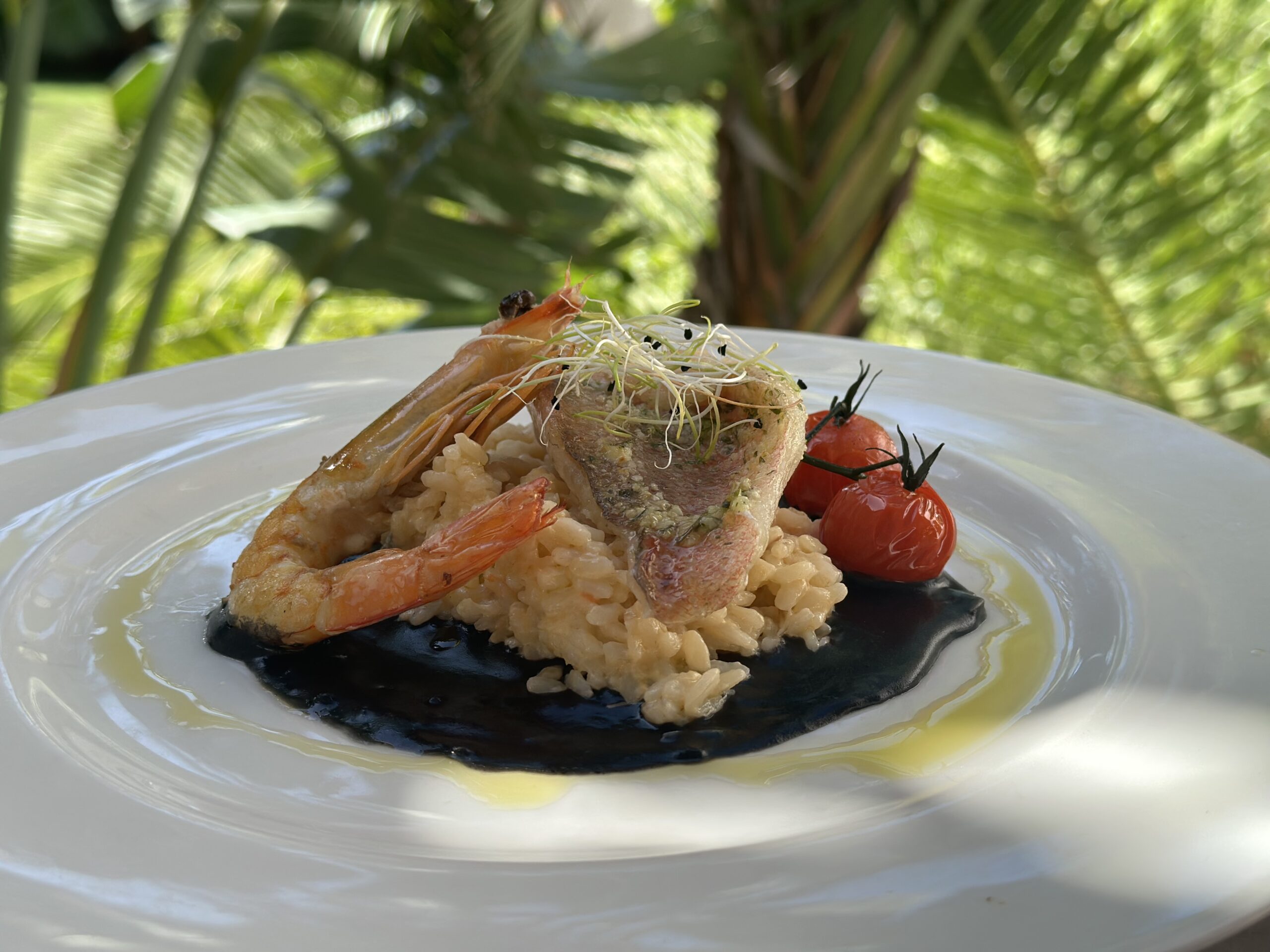 Image gallery marquee